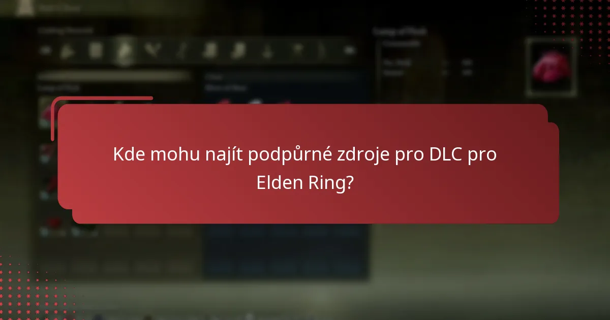 Na kterých platformách se vyskytují specifické problémy s DLC?